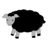 black sheep
