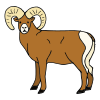 Urial Picture