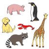 I like animals!