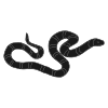 I see a snake.