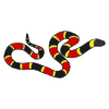 "Snake Pit"

Leap to each circle, balance with 1 foot.