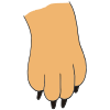 dog paw