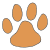 paw