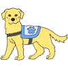 service dog