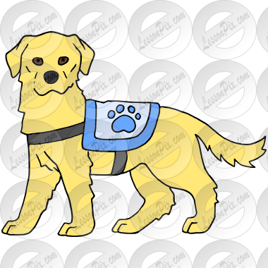 Service Dog