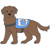 Therapy Dog