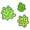 Right now, school is closed because of the Coronavirus.