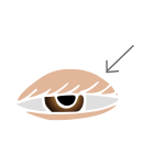 Eyelid Stencil