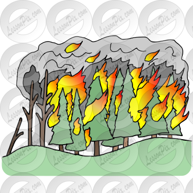 Forest Fire Creates Ecological Disaster - Vector Image