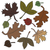 Dead Leaves Picture
