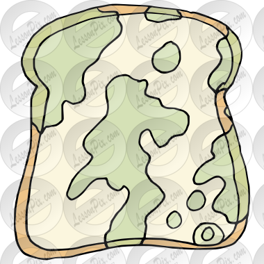 Moldy Bread