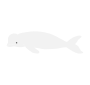 Beluga Whale Stencil