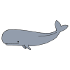 Blow+like+a+whale Picture