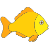 goldfish Picture