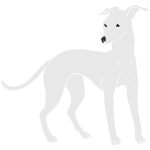 Greyhound Stencil