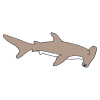 hammerhead shark