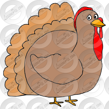 Calm Turkey