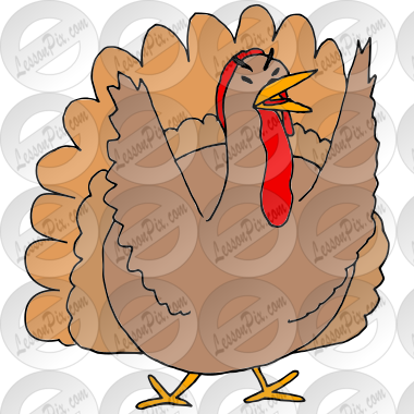 Mad Turkey