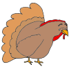 Sad Turkey
