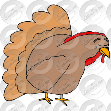 Sad Turkey Picture