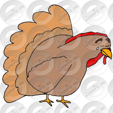 Sad Turkey