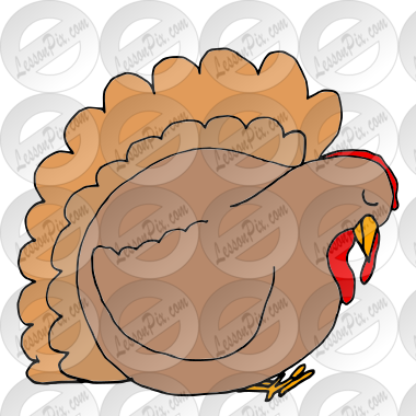 Sleepy Turkey