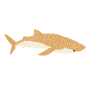 Whale Shark