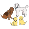 Adopt  a lot of dogs