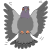 pigeon