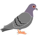 Pigeon Stencil