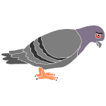 Sad Pigeon Stencil