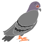 Shy Pigeon Stencil