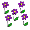 I can see flowers.