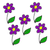 Violets Picture