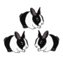 Rabbits Picture