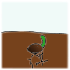 Gently push the seeds down