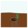 Plant+Seed Picture