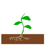 Plant Stencil