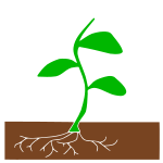 Plant Stencil