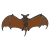 I+see+bats Picture