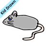 rat Picture