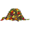A pile of leaves!