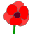Poppy