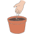 pot