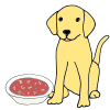 Feed Dog Alphabet Soup Picture