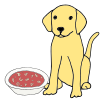 feed dog soup