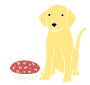 Feed Dog Alphabet Soup