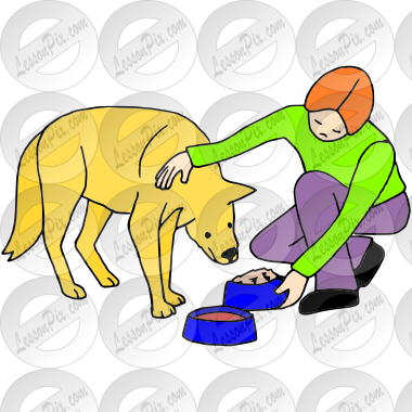 Feed Dog