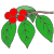 branch