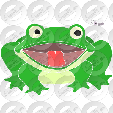 Wide Mouth Frog